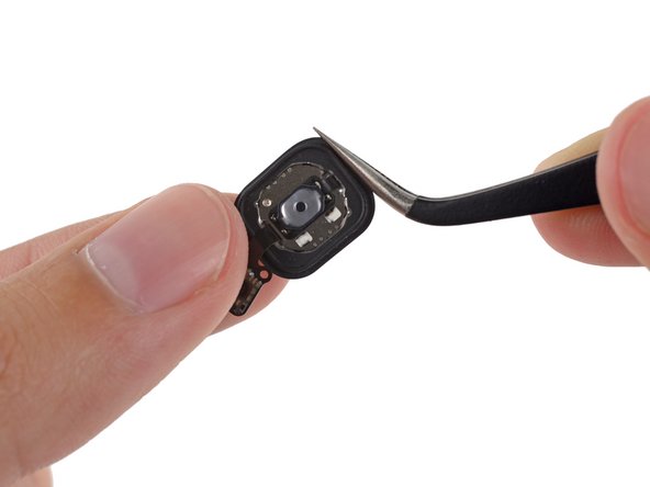 Home Button